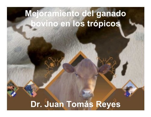 Mejoramiento del ganado bovino en los trópicos Dr. Juan ... - CEDAF