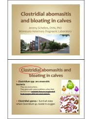 Clostridial abomasitis and abomasal bloating in calves - Veterinary ...