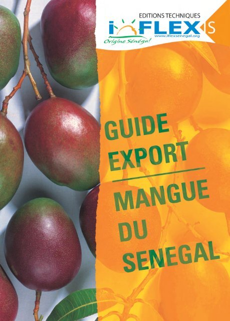 Mangue d'Europe sans fibre 0 | Sebala Fruits