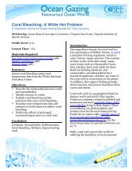 Coral bleaching: A white hot problem (pdf) - cosee now