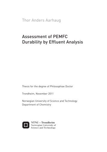 Ntnu master thesis template