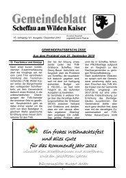 (765 KB) - .PDF - Gemeinde Scheffau am Wilden Kaiser