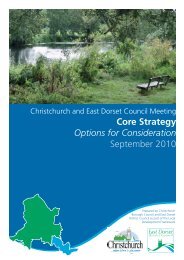 Core Strategy Options - Dorsetforyou.com