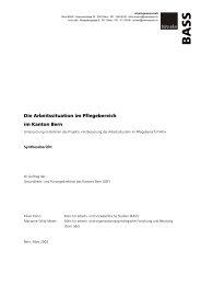 (PDF) Die Arbeitssituation im Pflegebereich im Kanton Bern - BASS