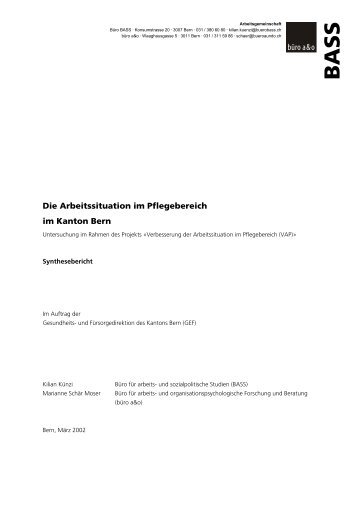 (PDF) Die Arbeitssituation im Pflegebereich im Kanton Bern - BASS