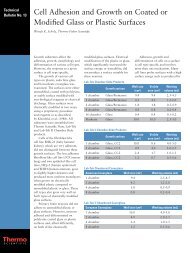 Cell Adhesion and Growth on Coated or Modified Glass ... - Labo Baza