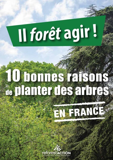 Il-foret-agir-10-bonnes-raisons-de-planter-des-arbres-en-France