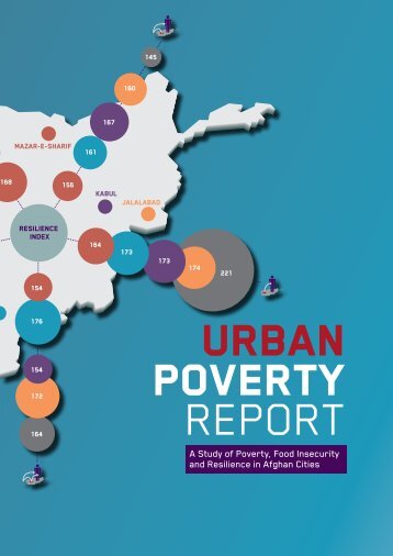 DRC PIN Urban Poverty Report