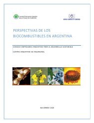 perspectivas de los biocombustibles en argentina - Consejo ...