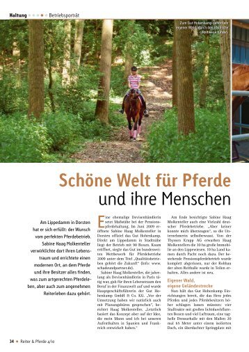 Schöne Welt für Pferde - Gut Hohenkamp GmbH & Co. KG