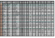 CUP Wertung Streich 2010 - USV Gasen