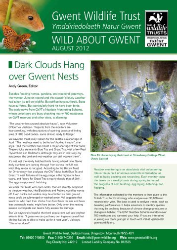 Wild about Gwent August 2012 - Gwent Wildlife Trust