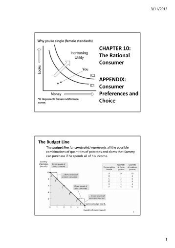 CHAPTER 10: The Rational Consumer APPENDIX: Consumer ...