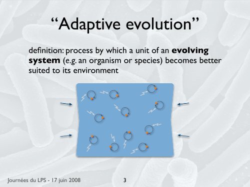 Adaptive evolution”d