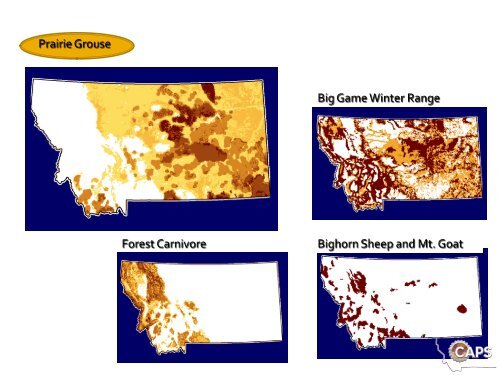 Crucial Areas Planning System - Sonoran Institute