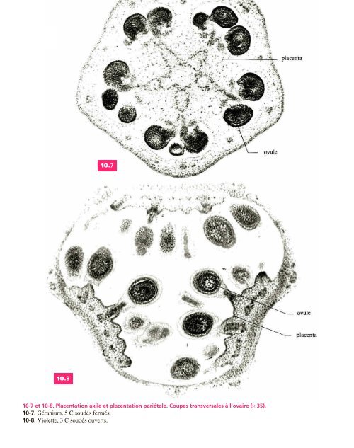 Atlas biologie veget.. - e-nautia