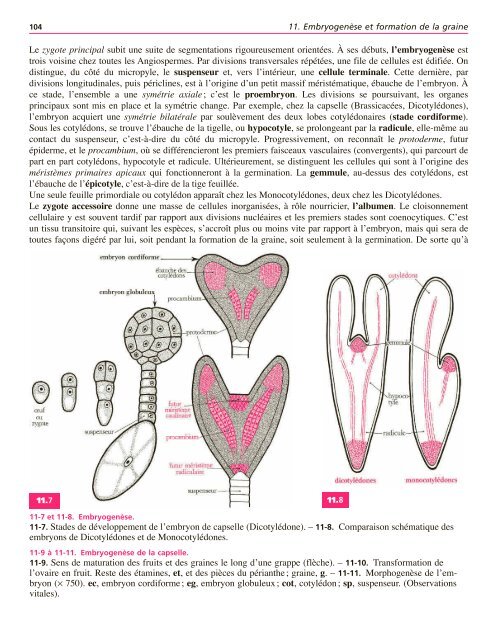 Atlas biologie veget.. - e-nautia