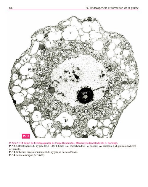 Atlas biologie veget.. - e-nautia