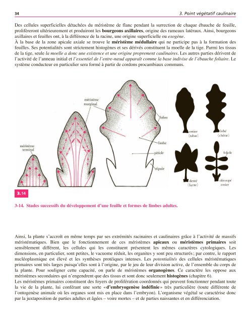 Atlas biologie veget.. - e-nautia