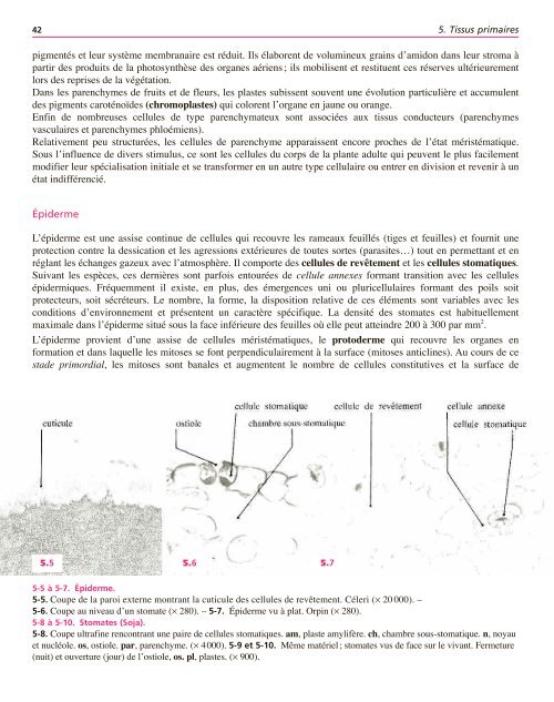 Atlas biologie veget.. - e-nautia