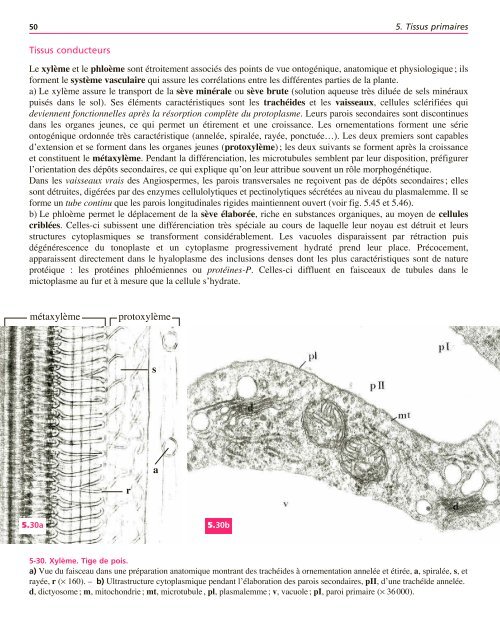 Atlas biologie veget.. - e-nautia