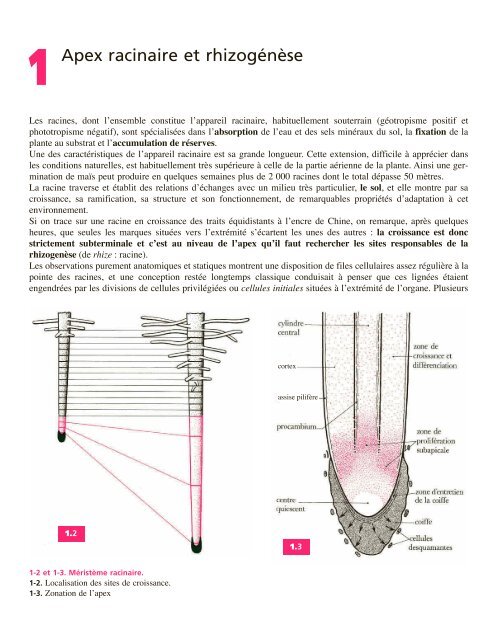 Atlas biologie veget.. - e-nautia