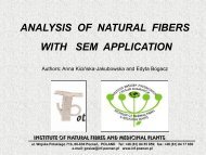analysis of natural fibers with sem application - Project T-Pot