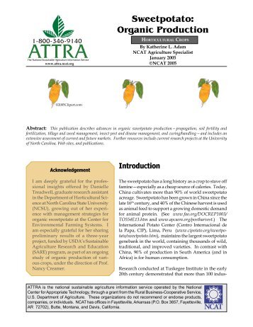 Sweet potato: organic production - Centre d'agriculture biologique ...