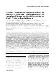 Fibroblast growth factor receptor-1 mediates the inhibition of ...