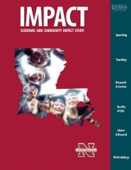 Nicholls Economic and Community Impact Study - University of ...