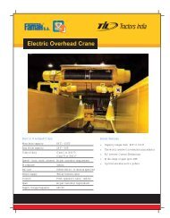 Electric Overhead Crane - til india