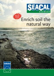 Enrich soil the natural way - Celtic Sea Minerals