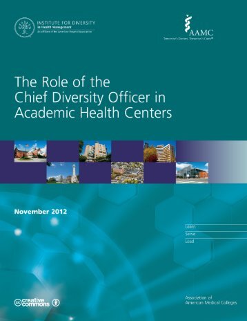 The Role of the Chief Diversity Officer in Academic Health Centers
