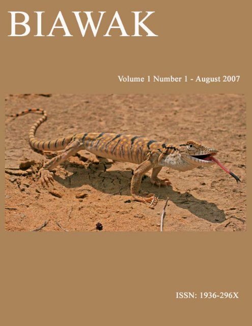 Biawak - International Varanid Interest Group