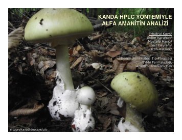 kanda hplc yÃƒÂ¶ntemiyle alfa amanitin analizi - Akademik Personel ...