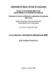 Documento PDF - UniCA Eprints - UniversitÃ  degli studi di Cagliari.