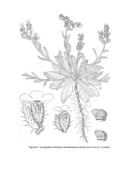 Documento PDF - UniCA Eprints - UniversitÃ  degli studi di Cagliari.