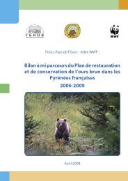 La Suède remonte le plafond des prélèvements d'ours - Le chasseur français