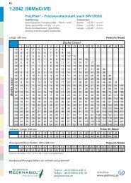 DownloadPräziPlan Präzisionsflachstahl