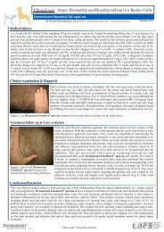 Atopic Dermatitis and Hypothyroidism in a Border Collie - Guidebook