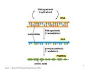 Figure 1-2 Essential Cell Biology (Â© Garland Science 2010)