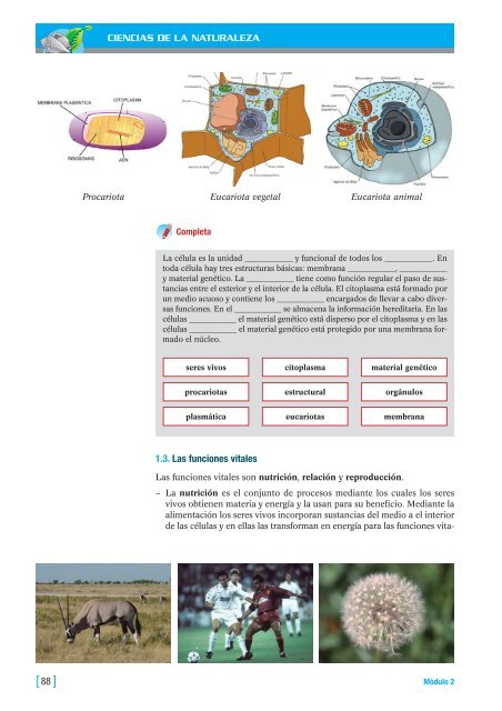 CIENCIAS NATURALEZA_2.qxd - aulAragon