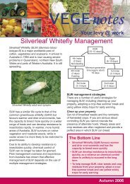 Silverleaf Whitefly Management