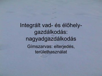 Integrált vad- és élőhely-gazdálkodás: nagyadgazdálkodás