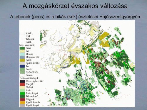 Integrált vad- és élőhely-gazdálkodás: nagyadgazdálkodás