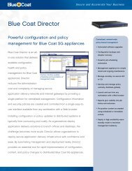 riverbed - Firewall Systems