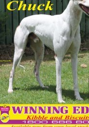 December'07 - Greyhounds Queensland