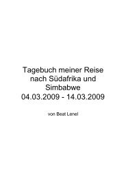 Tagebuch meiner Reise nach Südafrika und Simbabwe ... - Lenel