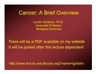 Cancer: A Brief Overview