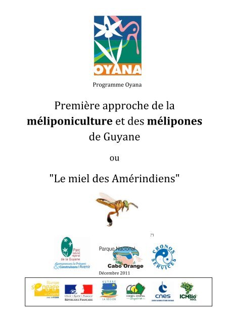 Première approche de la méliponiculture et des mélipones de Guyane